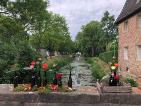 schlossfrühling schloss dyck - an 2 Wochenenden!